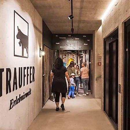 Bretterhotel 3*